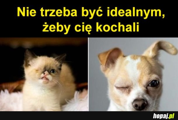 Dealni