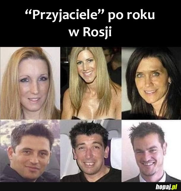 Friends 