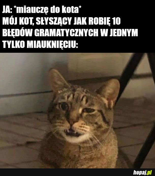 Weź człowiek nie rób tak