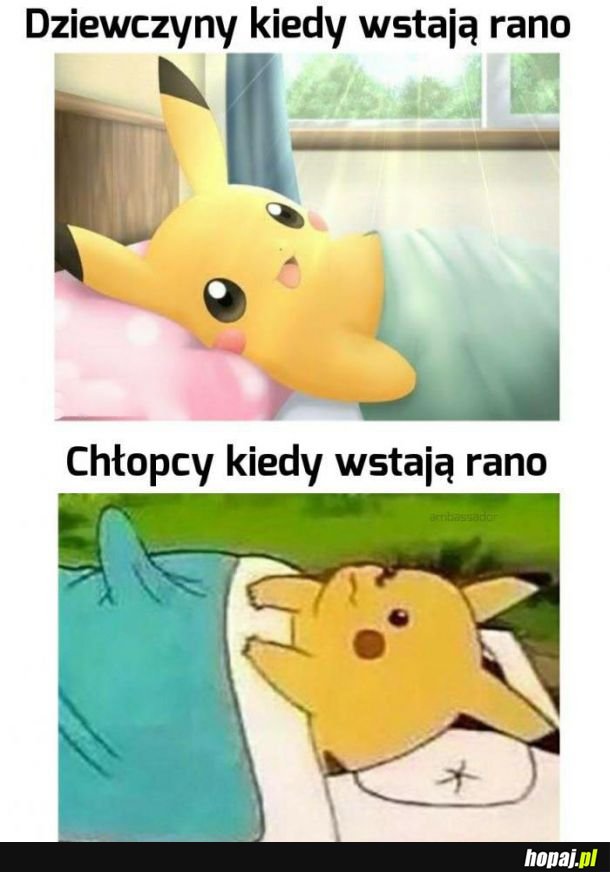  Haha 