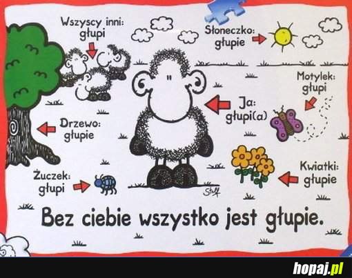 Bez ciebie wszystko jest głupie