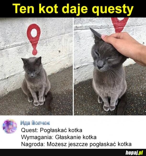 Znaki