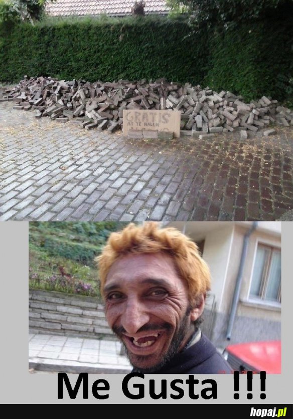 W Holandii gruz za darmo