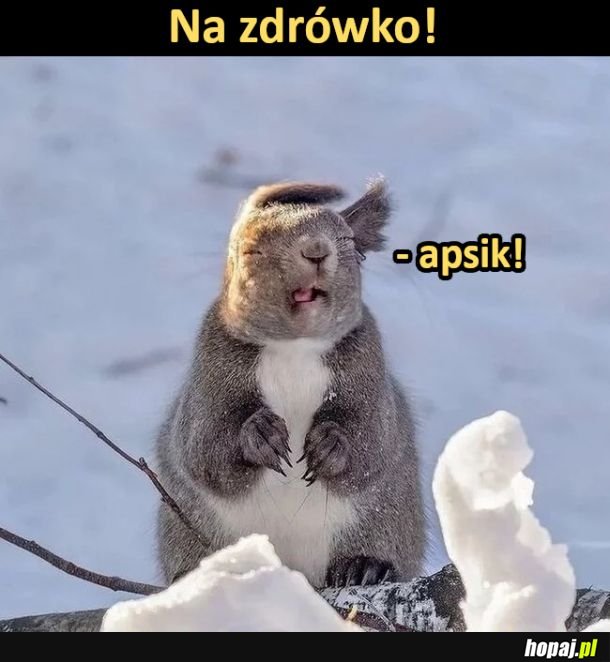 Na zdrówko!