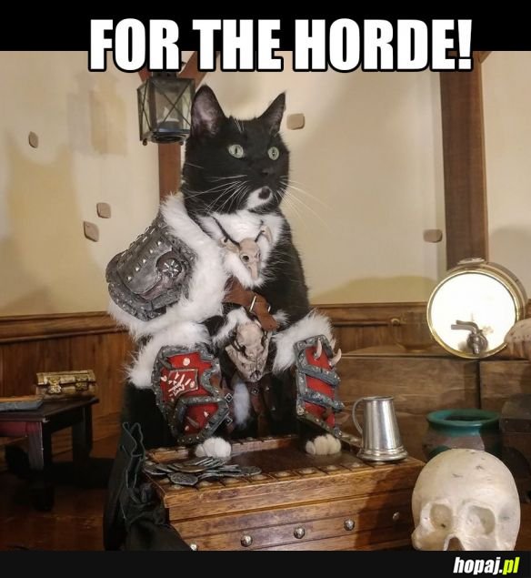Wojownik hordy
