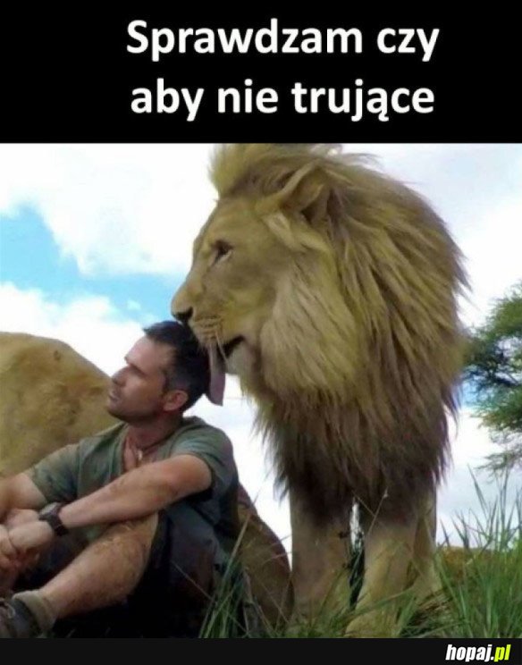 OSTROŻNOŚCI NIGDY ZA WIELE