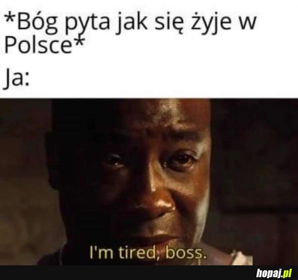 Plz, stop it