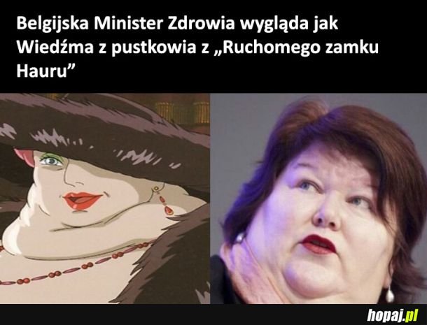 Dokładnie tak