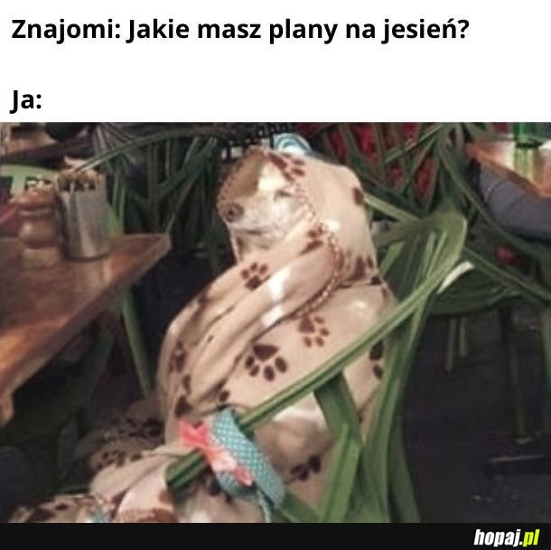 Jesienny kocyk