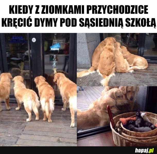 TO BYŁY CZASY