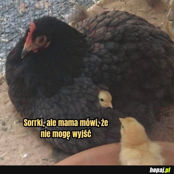 Nie mogę wyjść. 