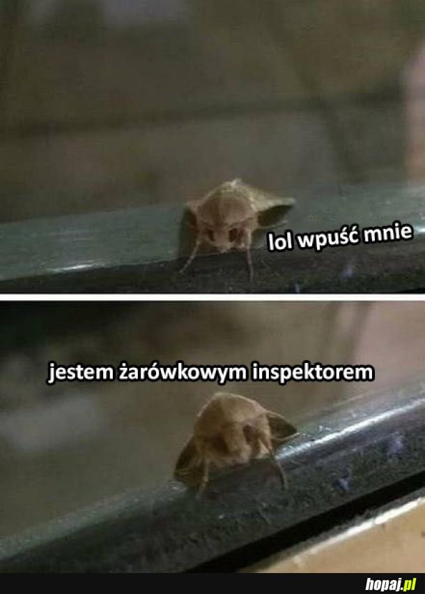 Wpuść mnie