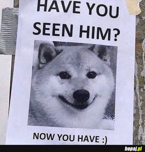 Pamiętacie Pieseła tak swoją drogą