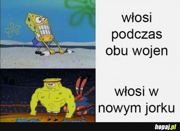 Włosi 