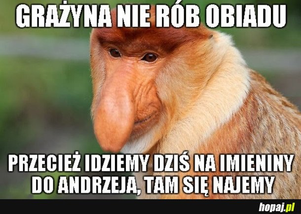 NIE OPŁACA SIĘ ROBIĆ OBIADU