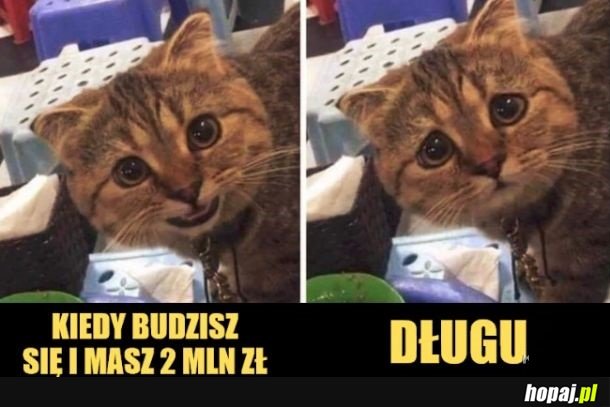 Typowe moje życie.