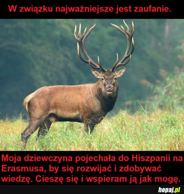 Najważniejsze jest zaufanie