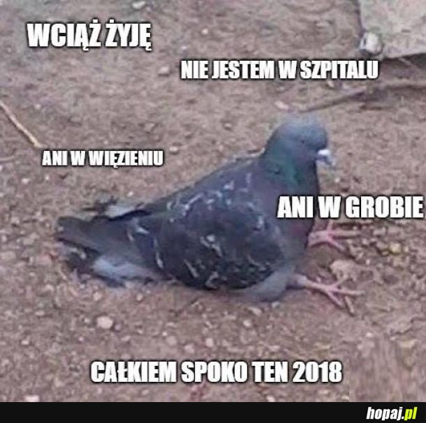 Dobry ten rok