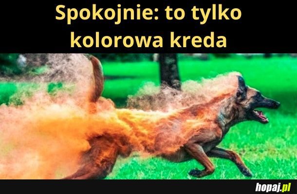 Spokojnie