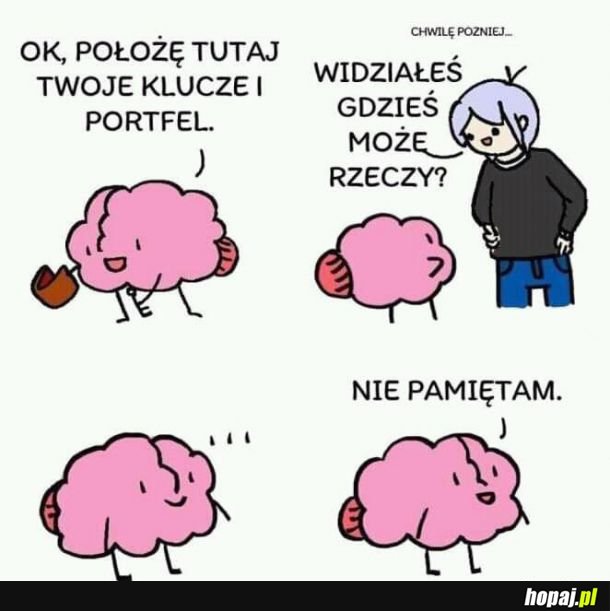 Mózg taki jest