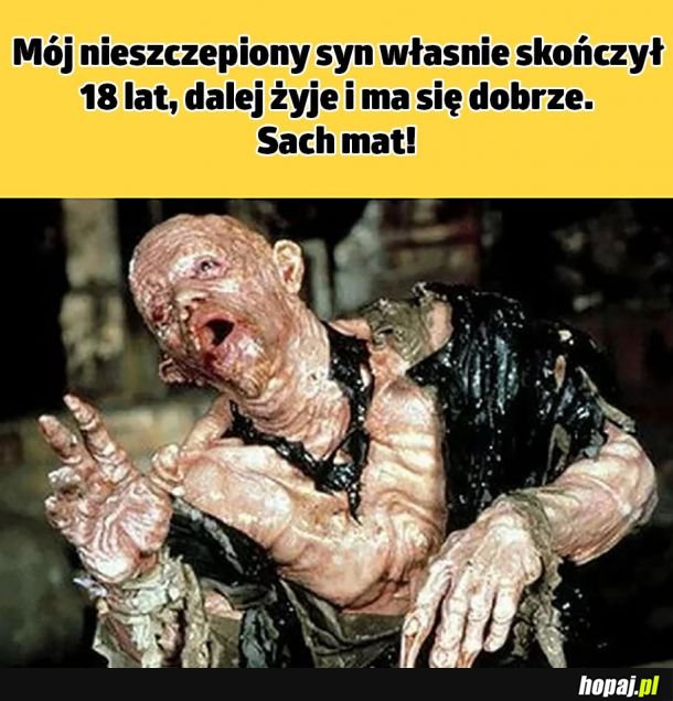 Kochany synuś 