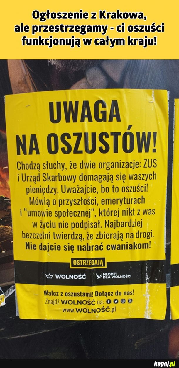 Oszuści grasują