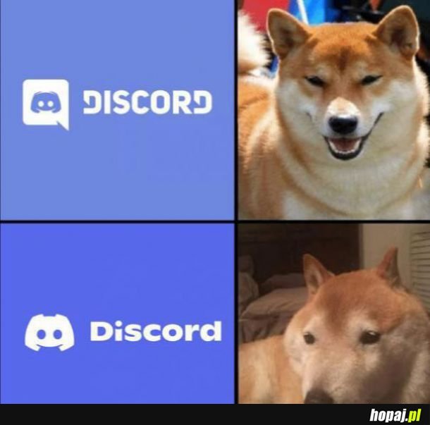 Nowy Discord