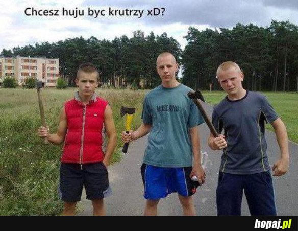Typowe Sebixy