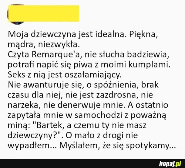 Dziewczyna idealna