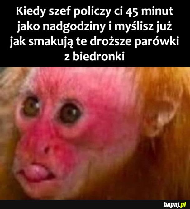 Bogactwo 