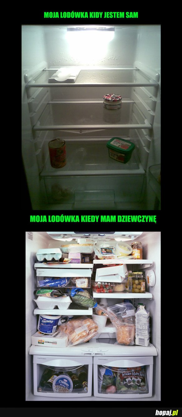 LODÓWKA