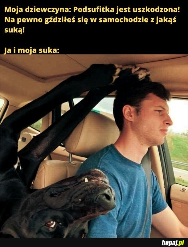 Podsufitka. 