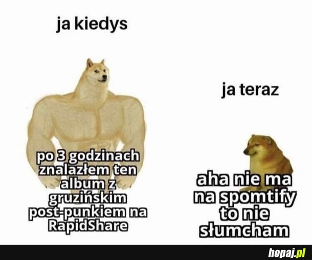 Fani muzyki