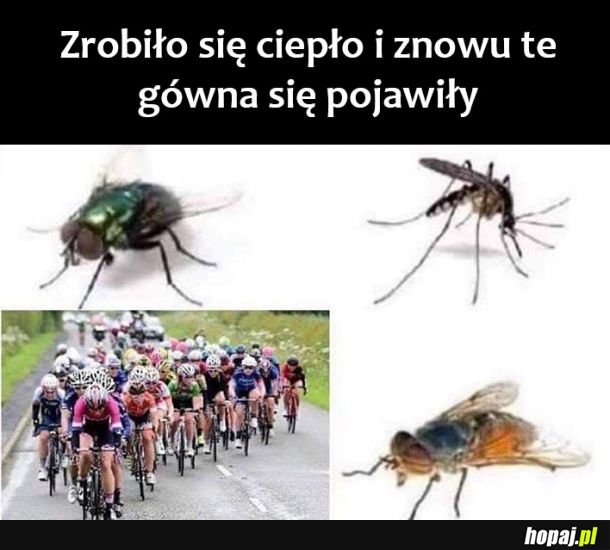 Znowu wylazły 