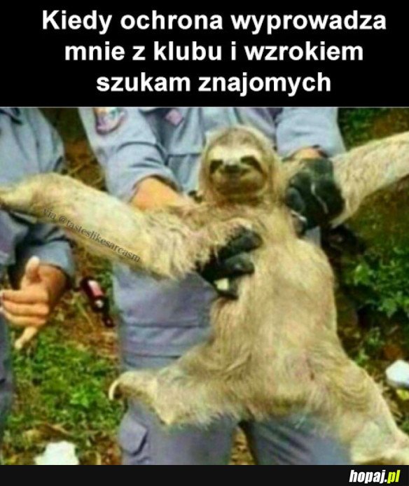 TAK TO WYGLĄDA