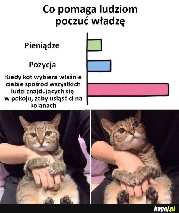 Władza