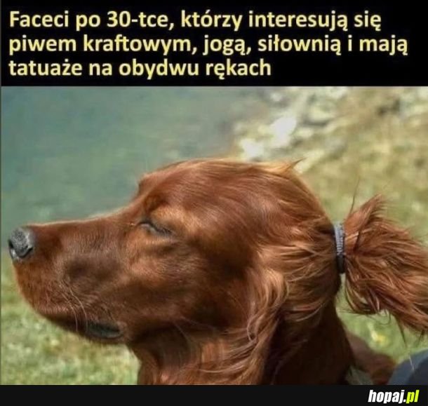 Wypisz, wymaluj