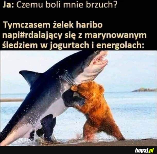 Brzuch