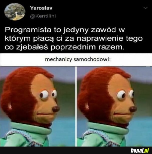 Świnka skarbonka zawsze pełna