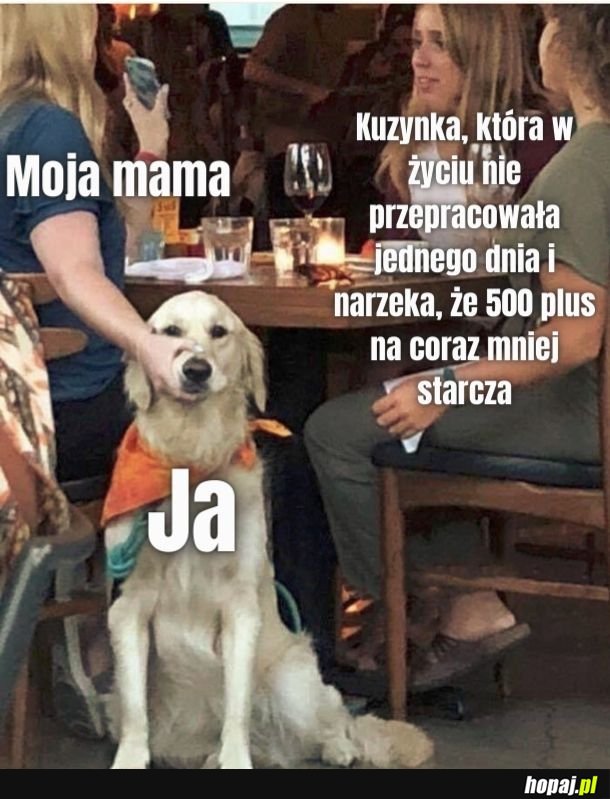 Cieszycie się na spotkanie z rodziną?
