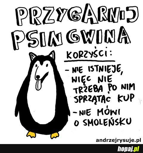 Przygarnij psingwina - andrzejrysuje.pl