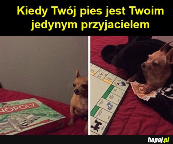 Pieseł