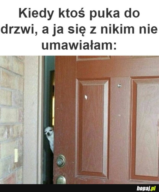 KTO TY JESTEŚ?