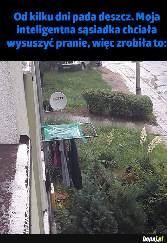 INTELIGENTNA SĄSIADKA