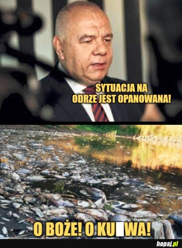 No tak chyba średnio