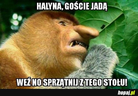 WSTYD, ŻEBY TAKI BURDEL BYŁ