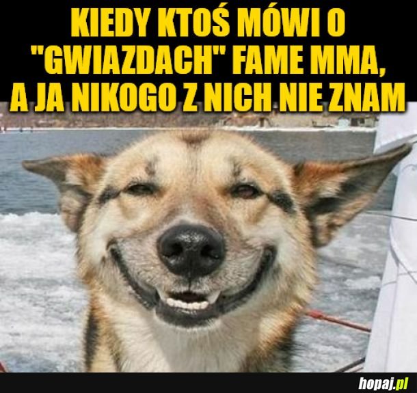 Fame MMA. 
