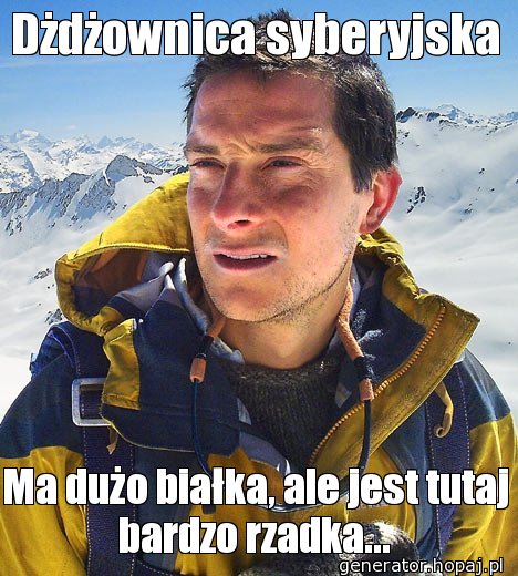 Dżdżownica syberyjska