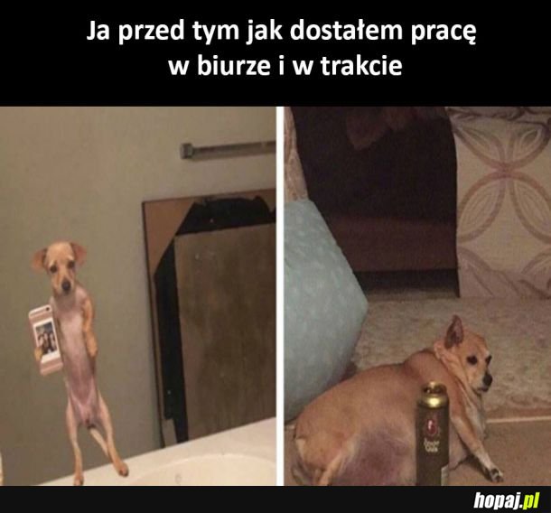 Praca w biurze