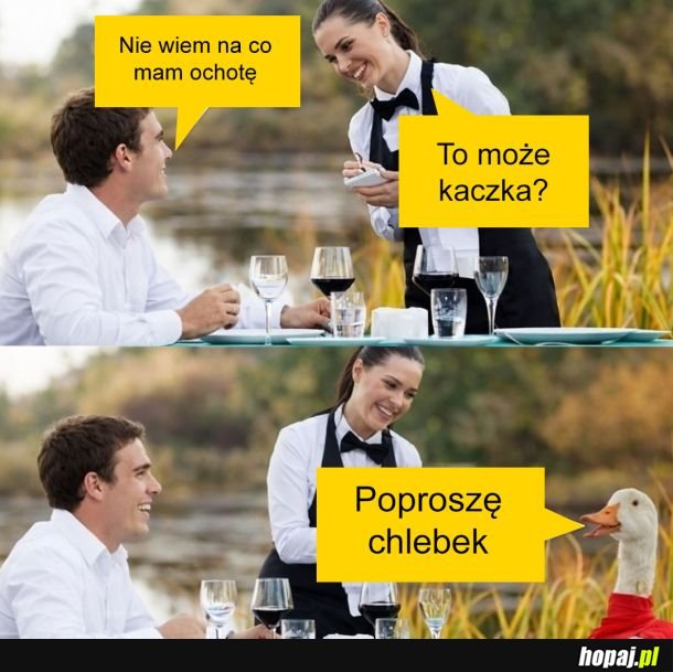 To może kaczka?